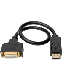 Tripp Lite P134-001-GC DisplayPort to DVI Cable Adapter - M/F, Black, 1 ft. - 1 ft DisplayPort/DVI-I Video Cable for Video Devic
