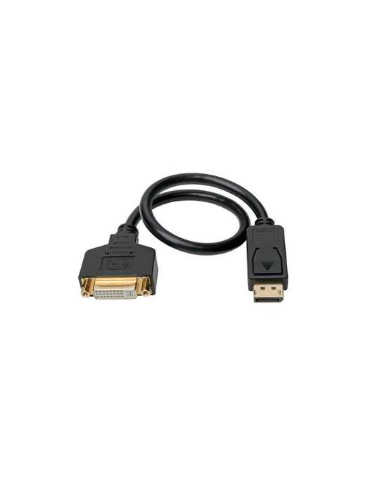 Tripp Lite P134-001-GC DisplayPort to DVI Cable Adapter - M/F, Black, 1 ft. - 1 ft DisplayPort/DVI-I Video Cable for Video Devic