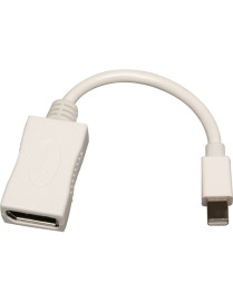 Tripp Lite Mini DisplayPort to DisplayPort Adapter Converter Video Cable mDP to DP M/F - 6" A/V Cable for Monitor - First End: 1