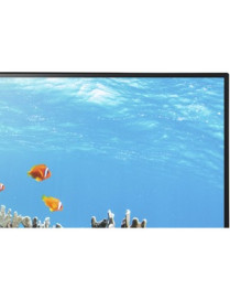 NEC Display MultiSync EA242WU-BK 24" Class WUXGA LCD Monitor - 16:10 - Black - 24.1" Viewable - In-plane Switching (IPS) Technol