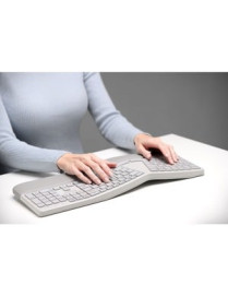 Kensington Pro Fit Ergo Wireless Keyboard and Mouse-Gray - USB Wireless Bluetooth/RF 4.0 Keyboard - Gray - USB Wireless Bluetoot