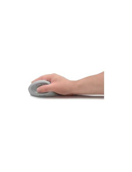 Kensington Pro Fit Ergo Wireless Mouse-Gray - Wireless - Bluetooth/Radio Frequency - 2.40 GHz - Gray - USB - 1600 dpi - 5 Button